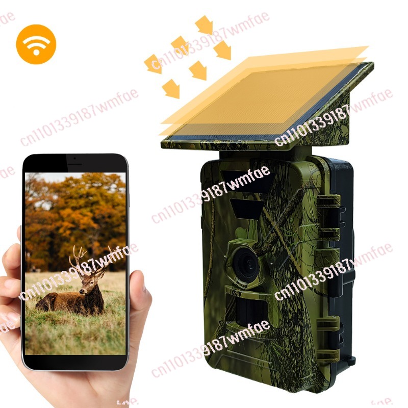 Wildlife Hunting Camera Solar  - Outdoor Hunting Camera Wifi recension och pris