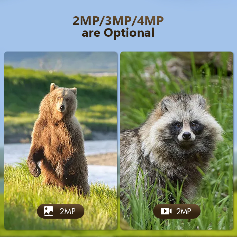 4G 4MP Outdoor Wildlife Huntin - Outdoor Hunting Camera Wifi recension och pris